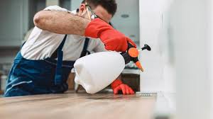 Professional Pest Control in Bay Minette, AL